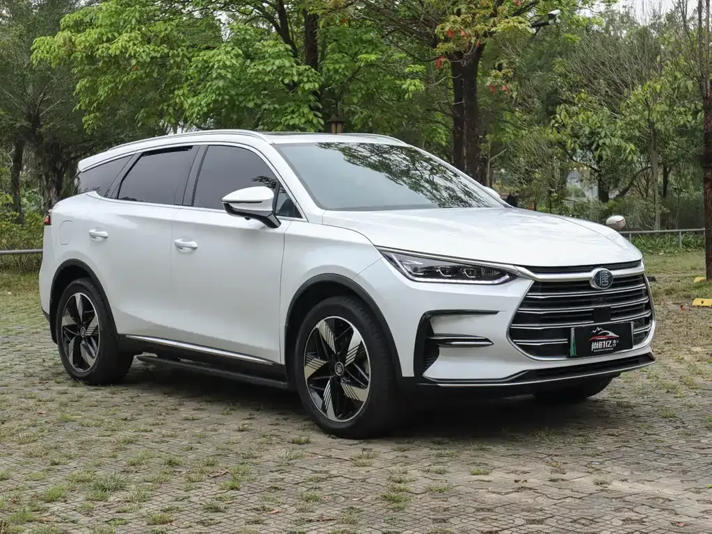 BYD Tang New Energy 2023 из CN, фото 3