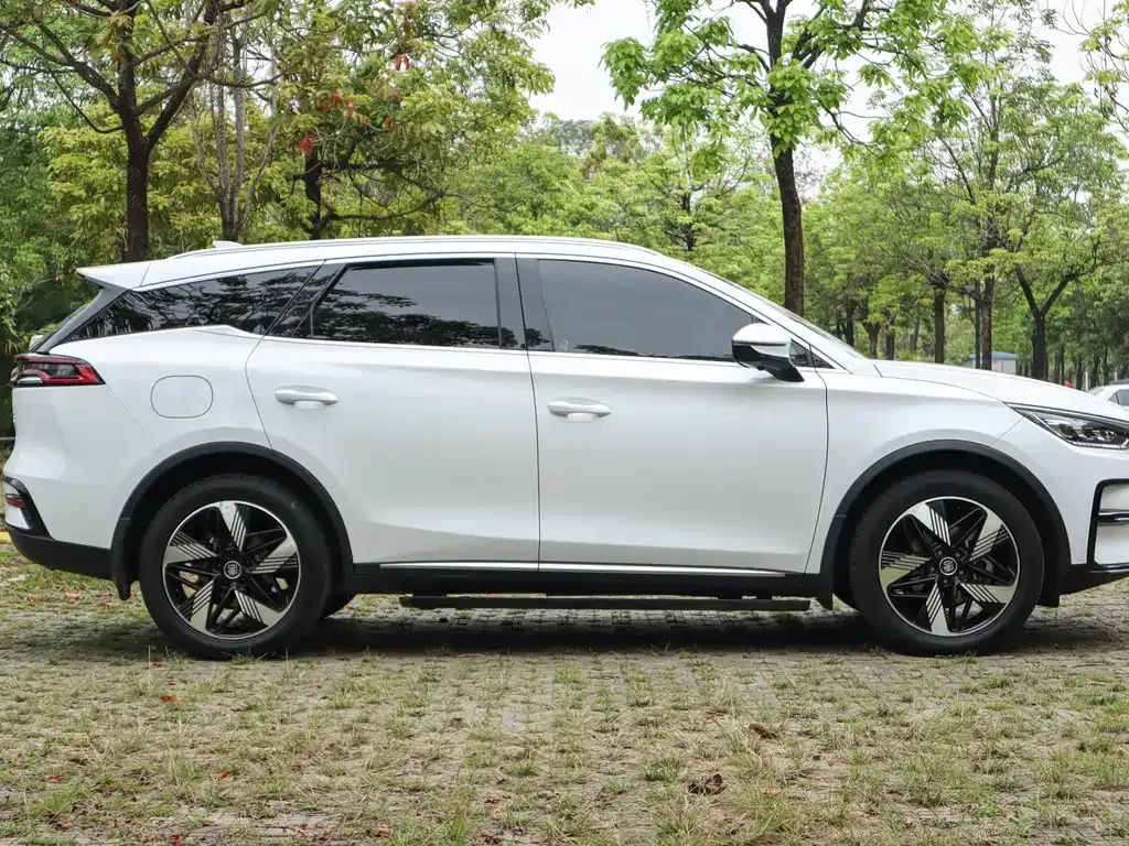 BYD Tang New Energy 2023 из CN, фото 4