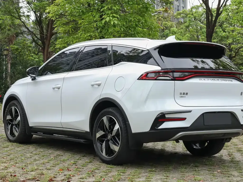 BYD Tang New Energy 2023 из CN, фото 8