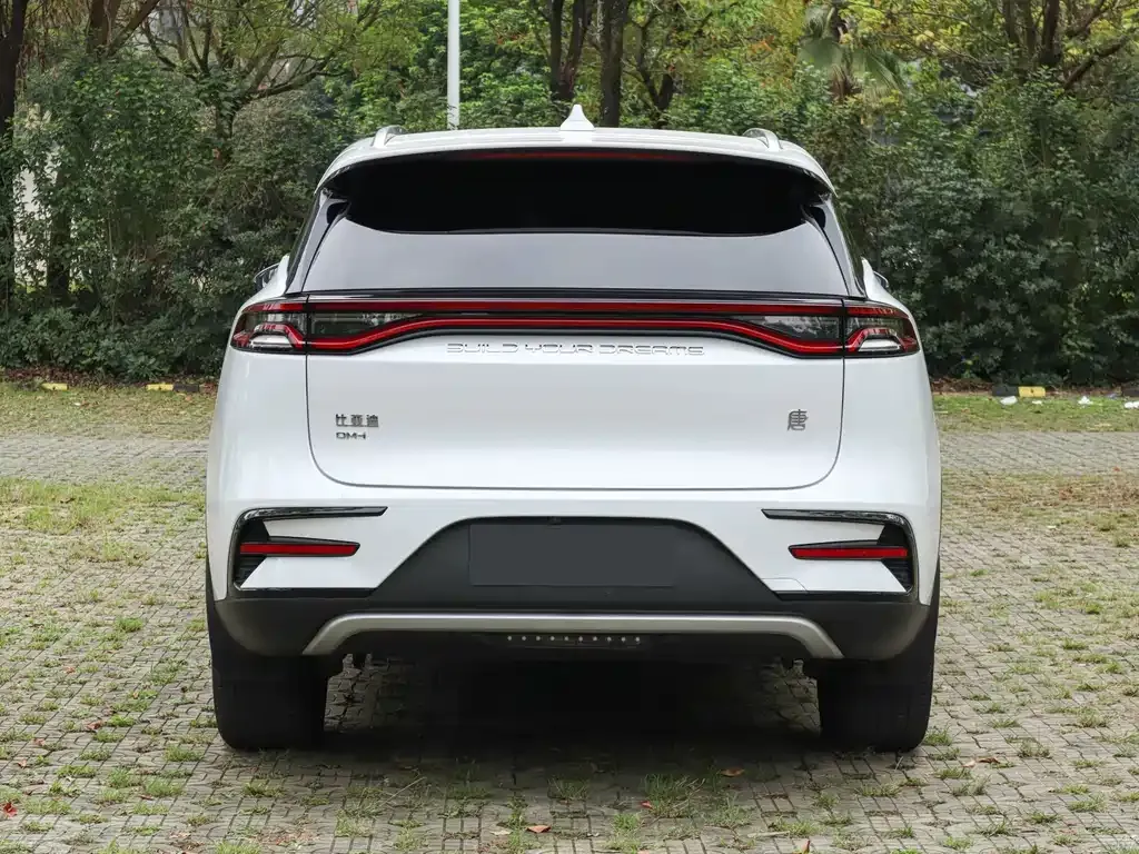 BYD Tang New Energy 2023 из CN, фото 9