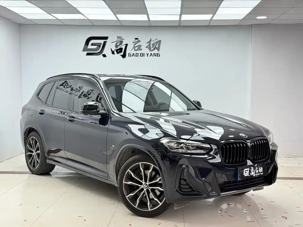 BMW X3 2023 из CN, фото 9