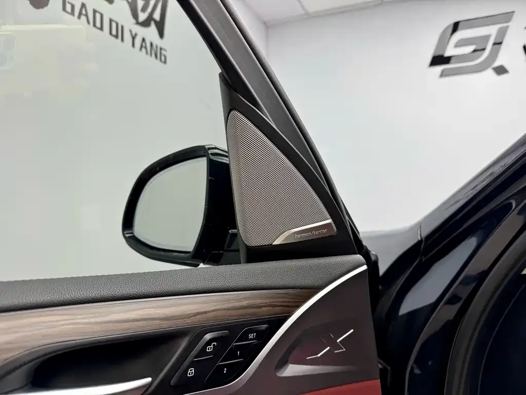 BMW X3 2023 из CN, фото 6