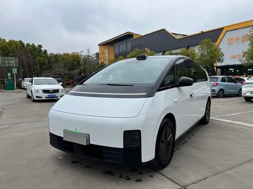 Li Auto Li MEGA 2024 из CN, фото 3