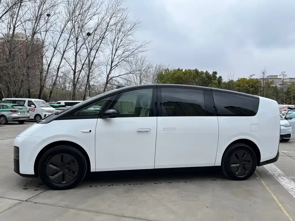 Li Auto Li MEGA 2024 из CN, фото 2