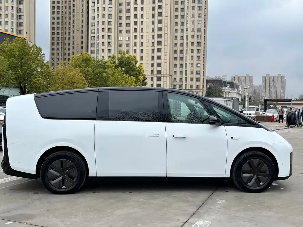 Li Auto Li MEGA 2024 из CN, фото 6