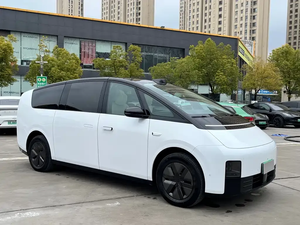 Li Auto Li MEGA 2024 из CN, фото 9