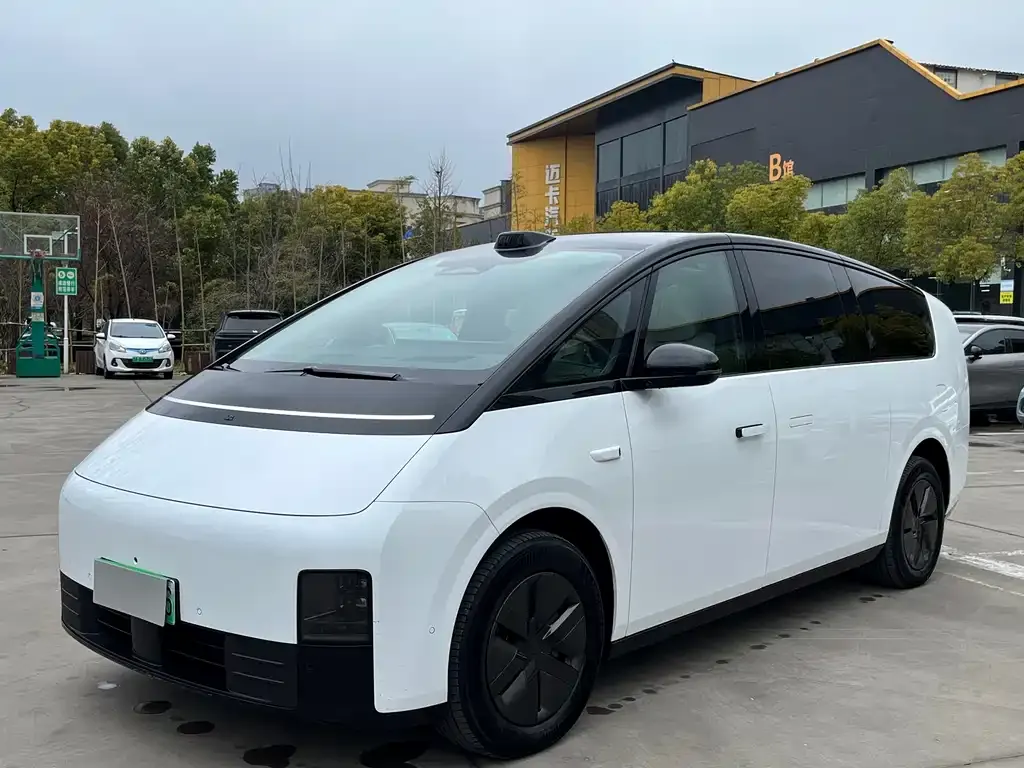 Li Auto Li MEGA 2024 из CN, фото 5