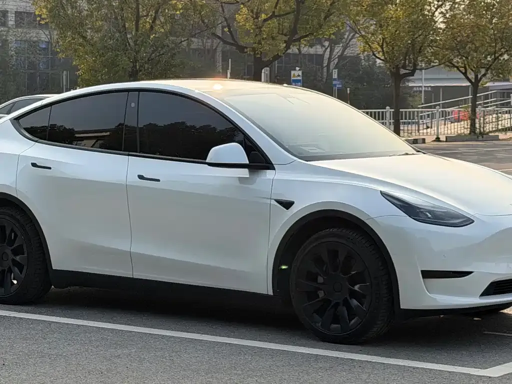 Tesla Model Y — фото 4