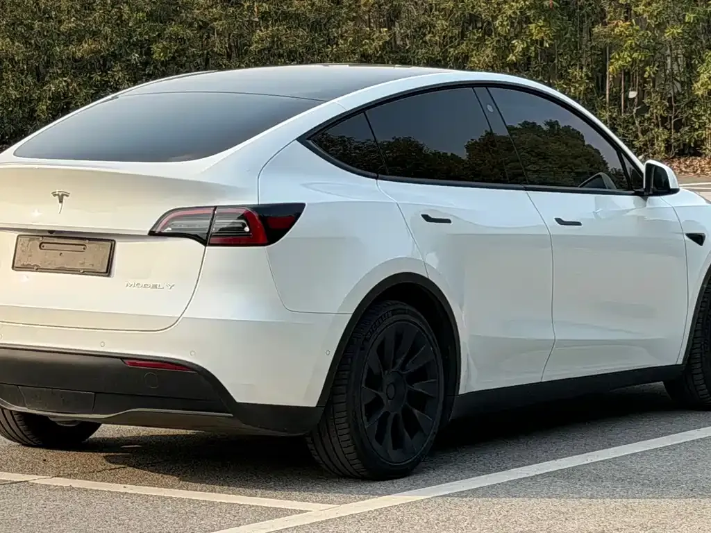 Tesla Model Y — фото 10