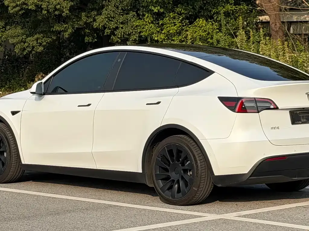 Tesla Model Y — фото 6