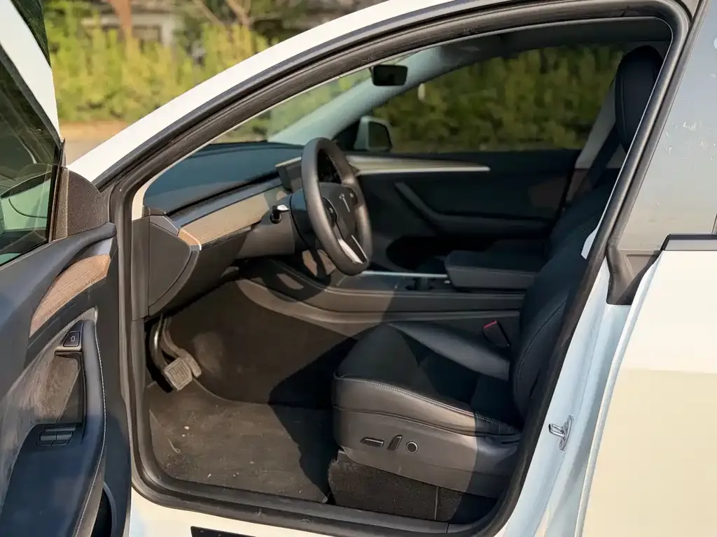 Tesla Model Y — фото 8