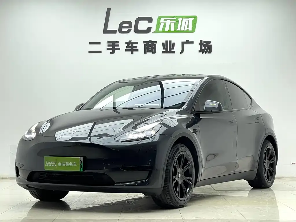 Tesla Model Y — фото 1