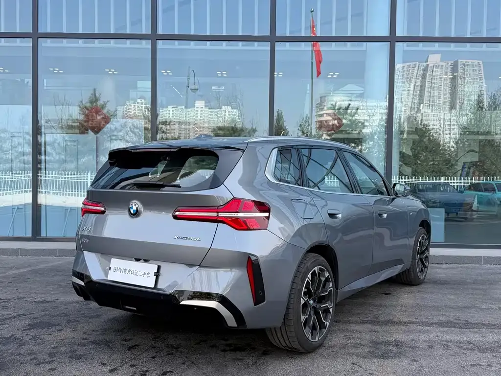 BMW X3 2025 из CN, фото 8