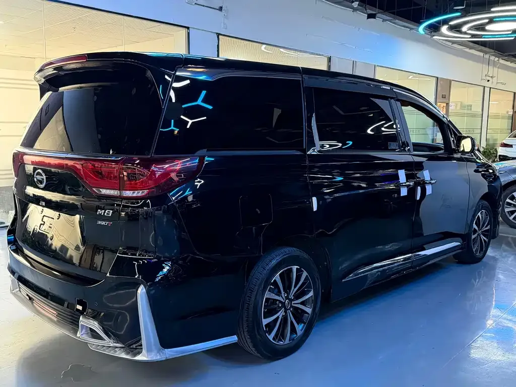 GAC Motor Trumpchi M8 2021 из CN, фото 8