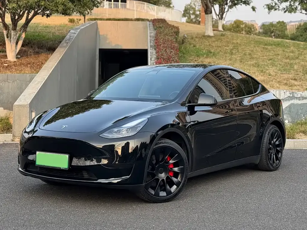 Tesla Model Y 2022 из CN, фото 1