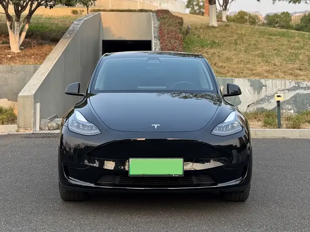 Tesla Model Y 2022 из CN, фото 9