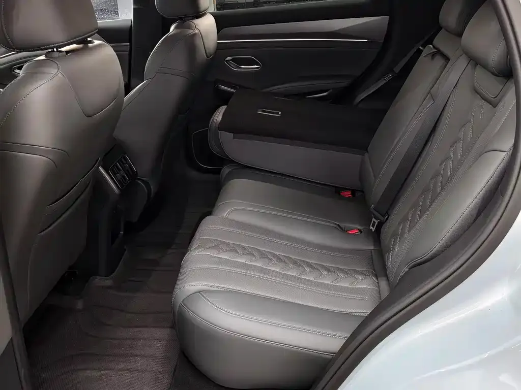 BYD L DM-i — фото 6