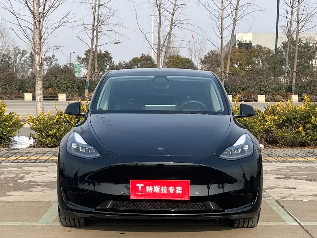 Tesla Model Y — фото 7