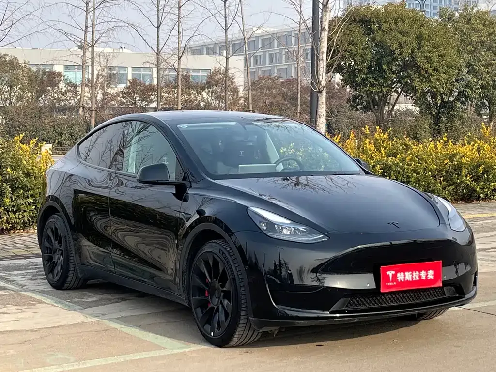 Tesla Model Y — фото 5