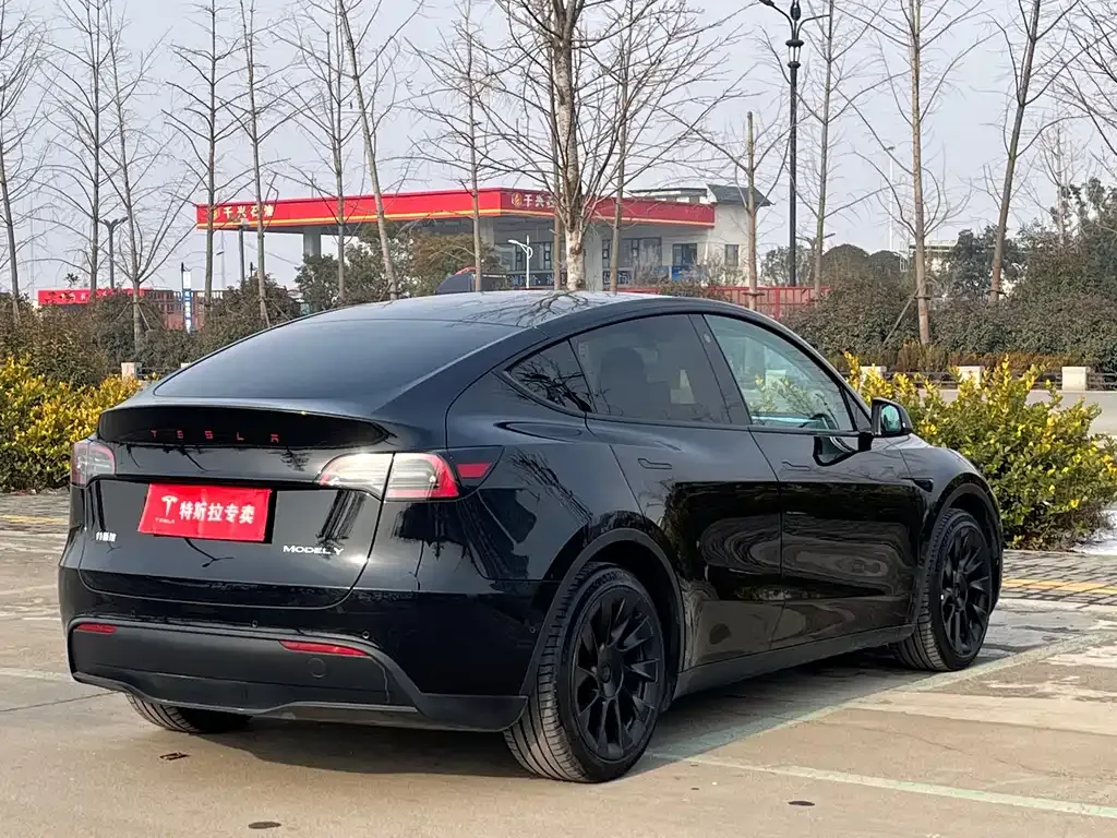 Tesla Model Y — фото 9