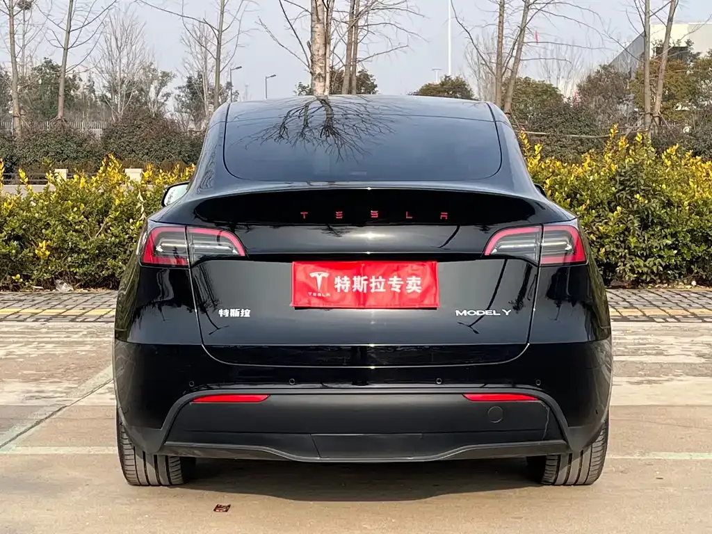 Tesla Model Y — фото 8