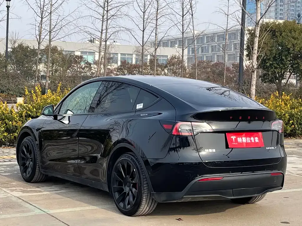 Tesla Model Y — фото 6