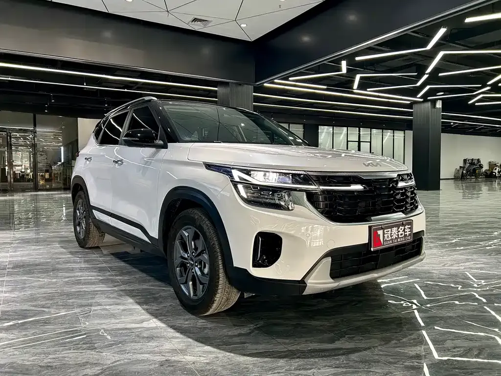 Kia Seltos 2024 из CN, фото 8