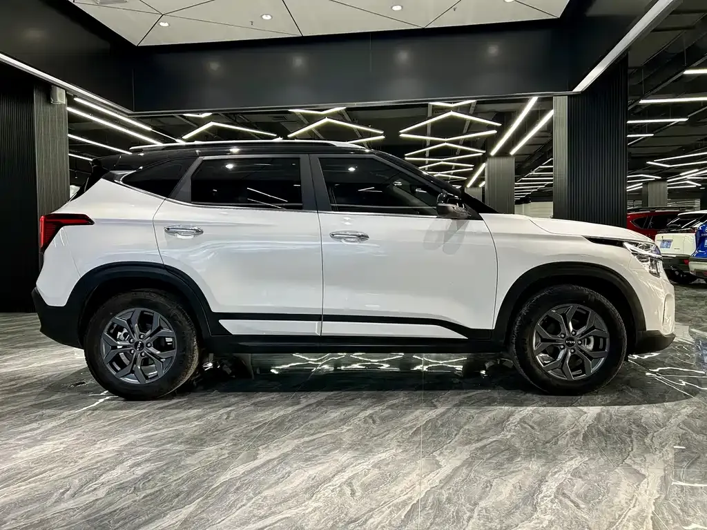 Kia Seltos 2024 из CN, фото 6