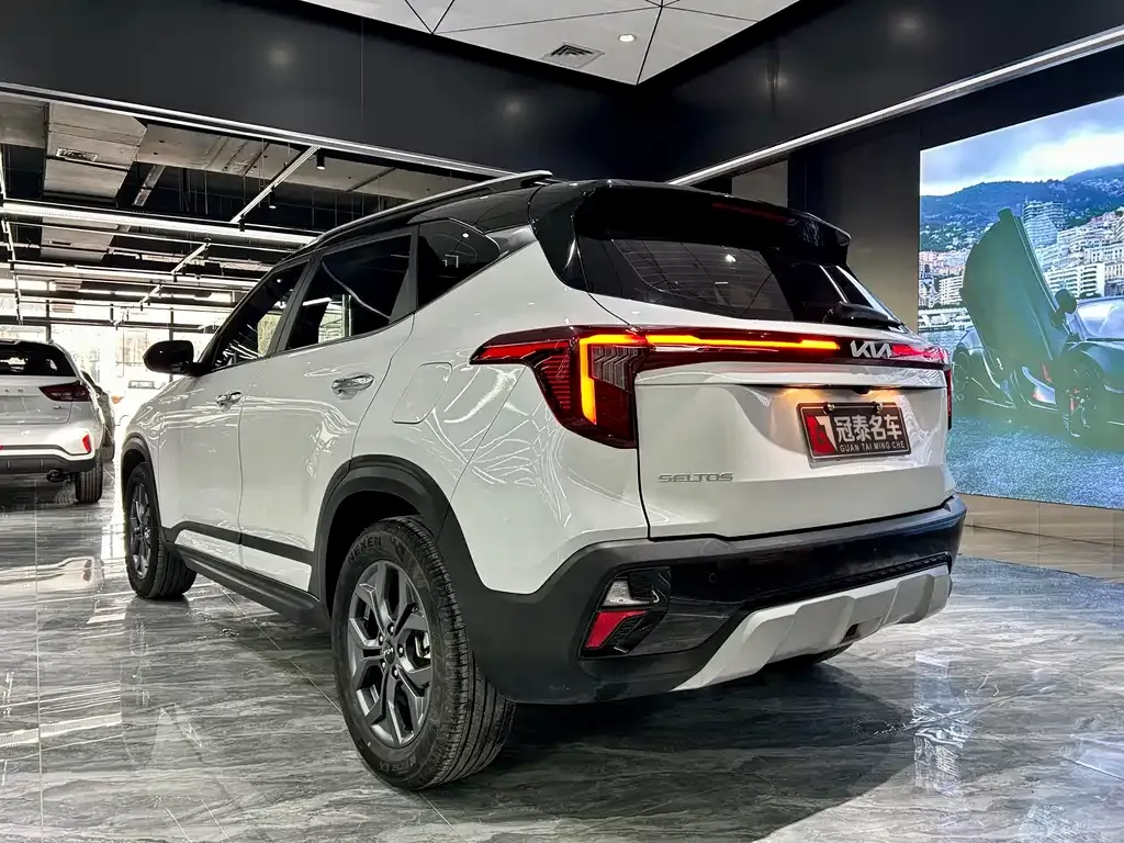 Kia Seltos 2024 из CN, фото 4