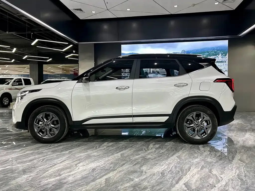 Kia Seltos 2024 из CN, фото 9