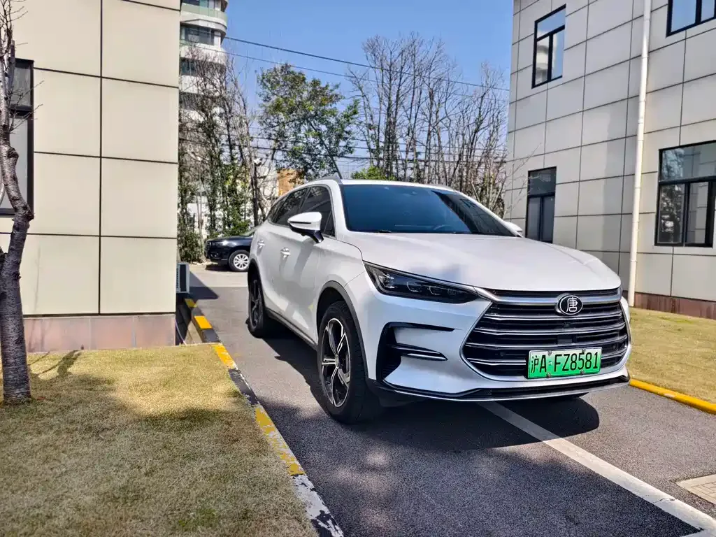 BYD Tang New Energy — фото 10