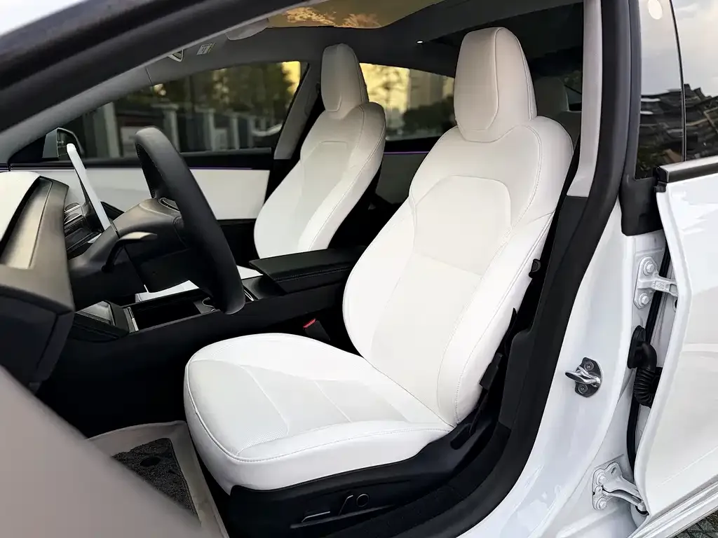 Tesla Model 3 2025 из CN, фото 3