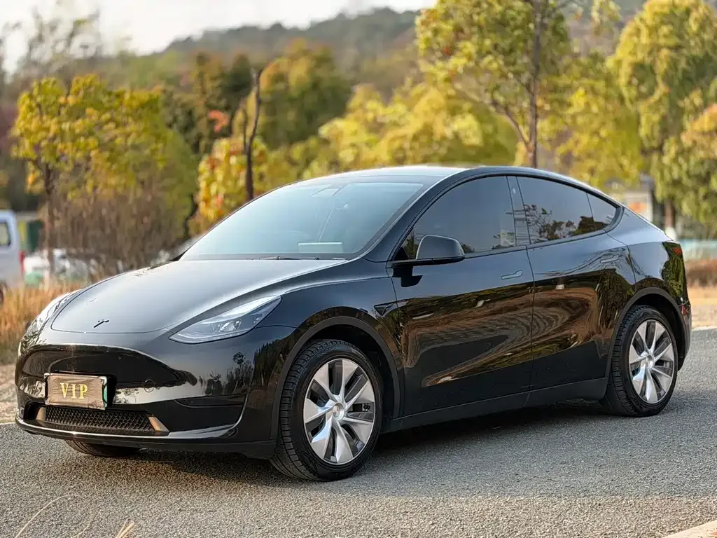 Tesla Model Y — фото 1