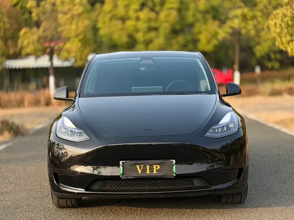 Tesla Model Y — фото 5