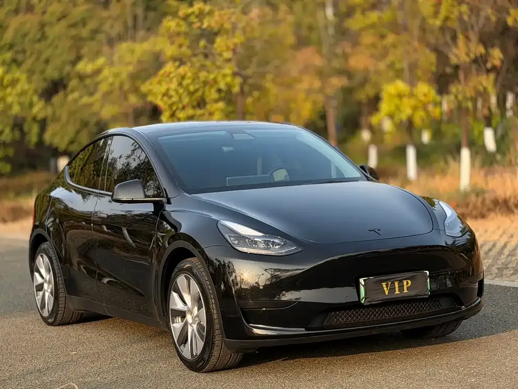 Tesla Model Y — фото 8
