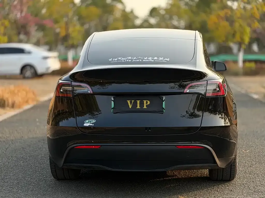 Tesla Model Y — фото 9