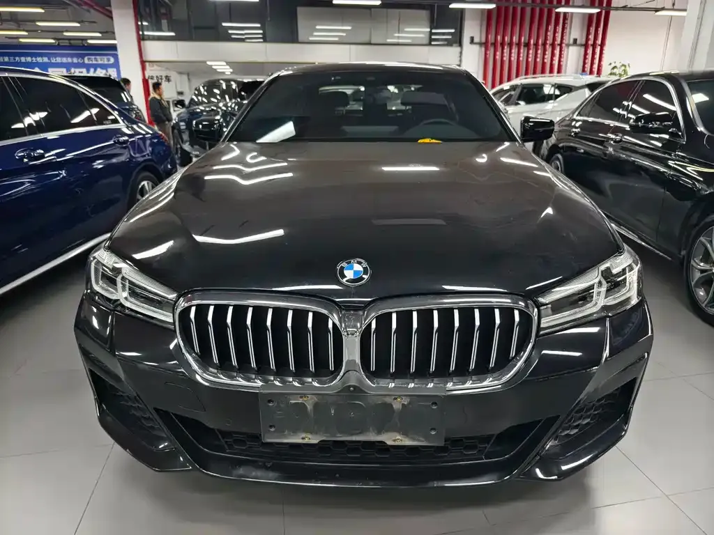 BMW 5 Series 2022 из CN, фото 4