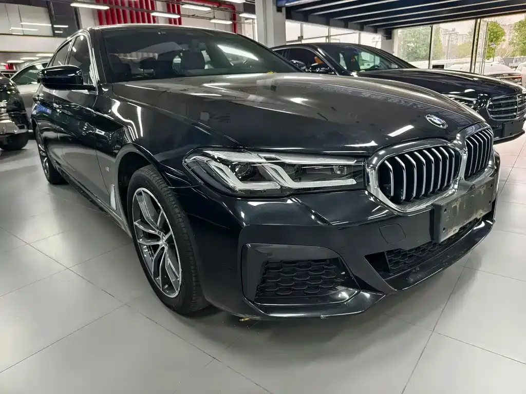 BMW 5 Series 2022 из CN, фото 10