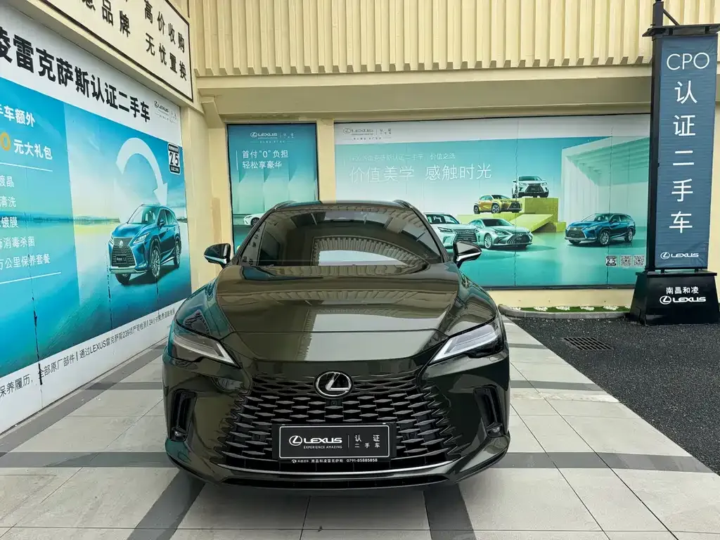 Lexus RX New Energy 2023 из CN, фото 6
