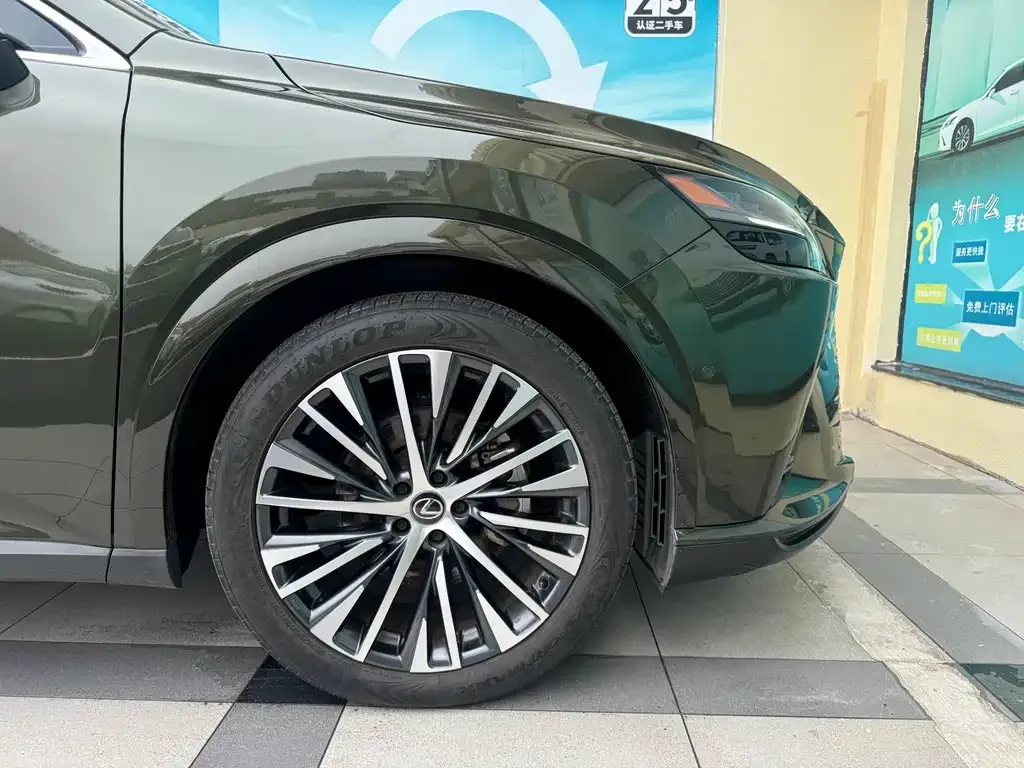 Lexus RX New Energy 2023 из CN, фото 9