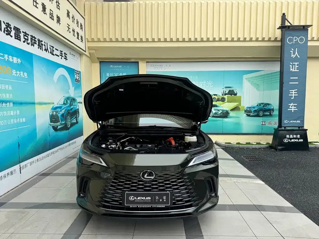 Lexus RX New Energy 2023 из CN, фото 5
