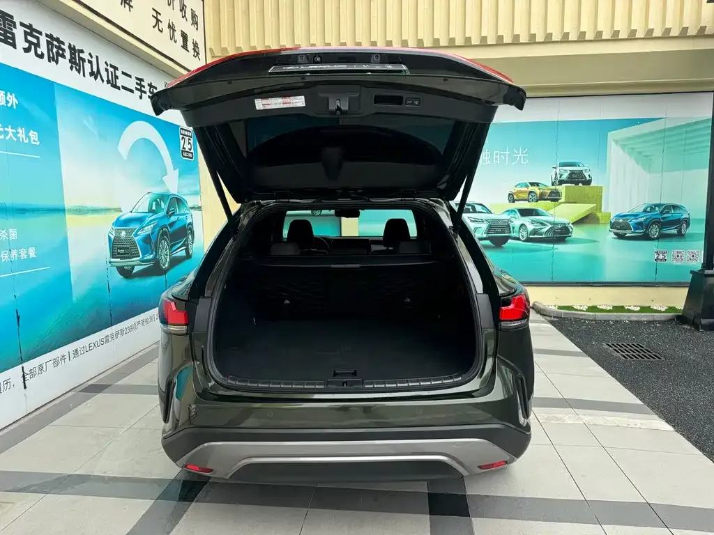 Lexus RX New Energy 2023 из CN, фото 8