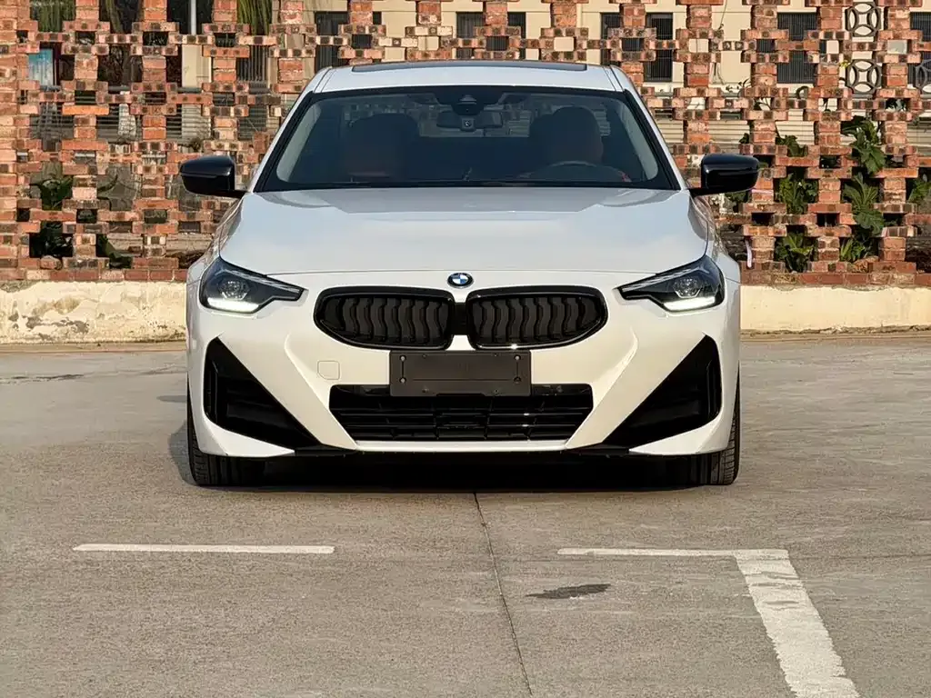 BMW 2 Series (Import) — фото 1