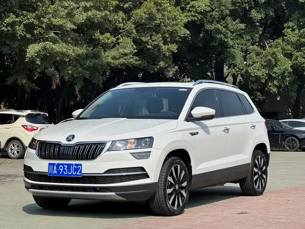 Skoda Karoq 2021 из CN, фото 1