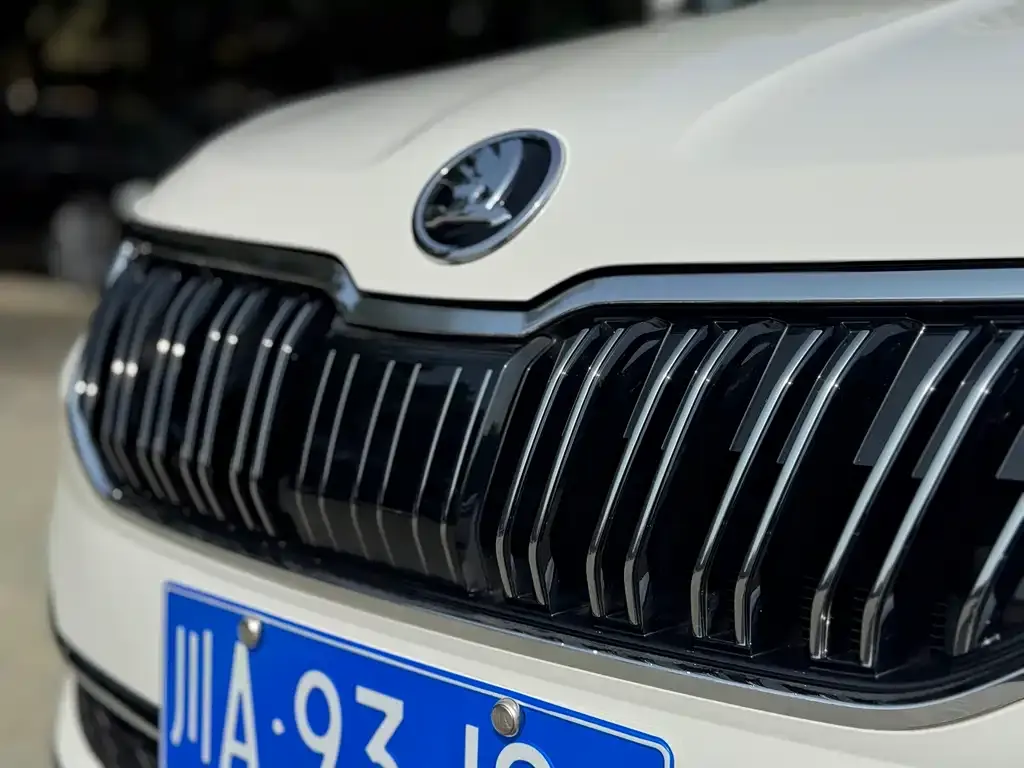 Skoda Karoq 2021 из CN, фото 2