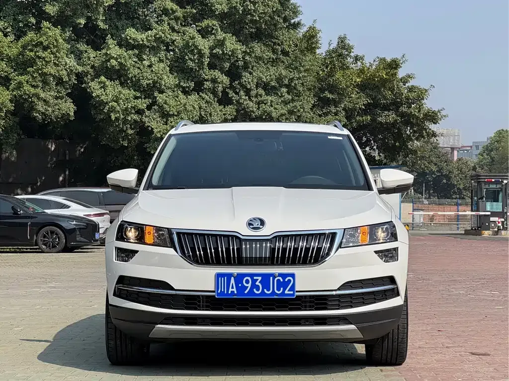 Skoda Karoq 2021 из CN, фото 10