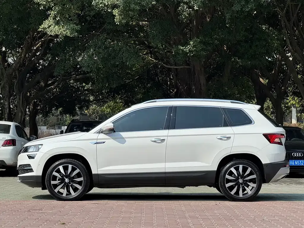 Skoda Karoq 2021 из CN, фото 4