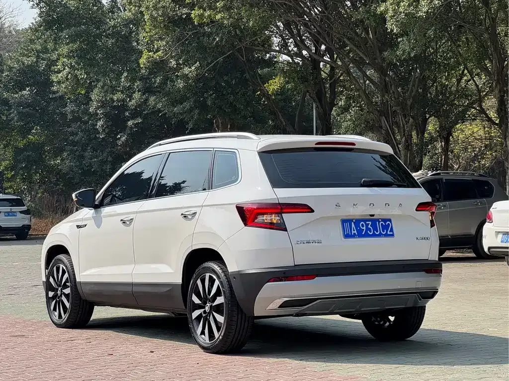 Skoda Karoq 2021 из CN, фото 7