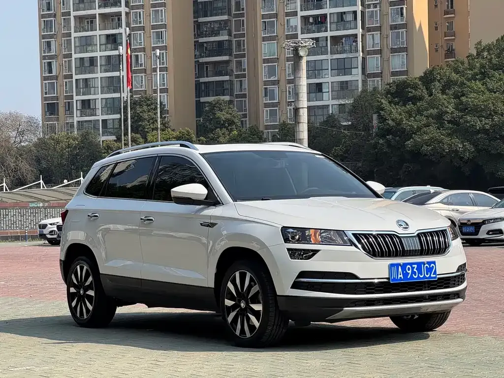 Skoda Karoq 2021 из CN, фото 8