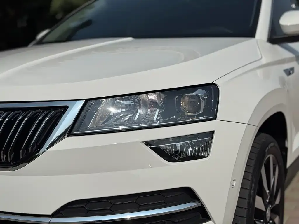 Skoda Karoq 2021 из CN, фото 9